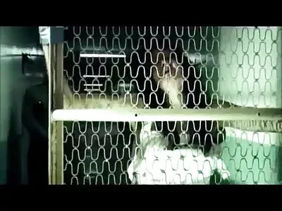 پرستار بچه سکسی ویتنی رایت و بلر ویلیامز با رئیس دمار از سکس با دانش آموز روزگارمان درآورد